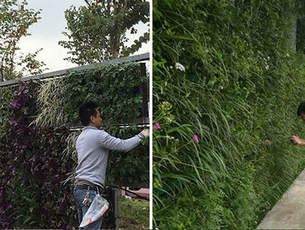 兴义立体绿化设计的核心原则